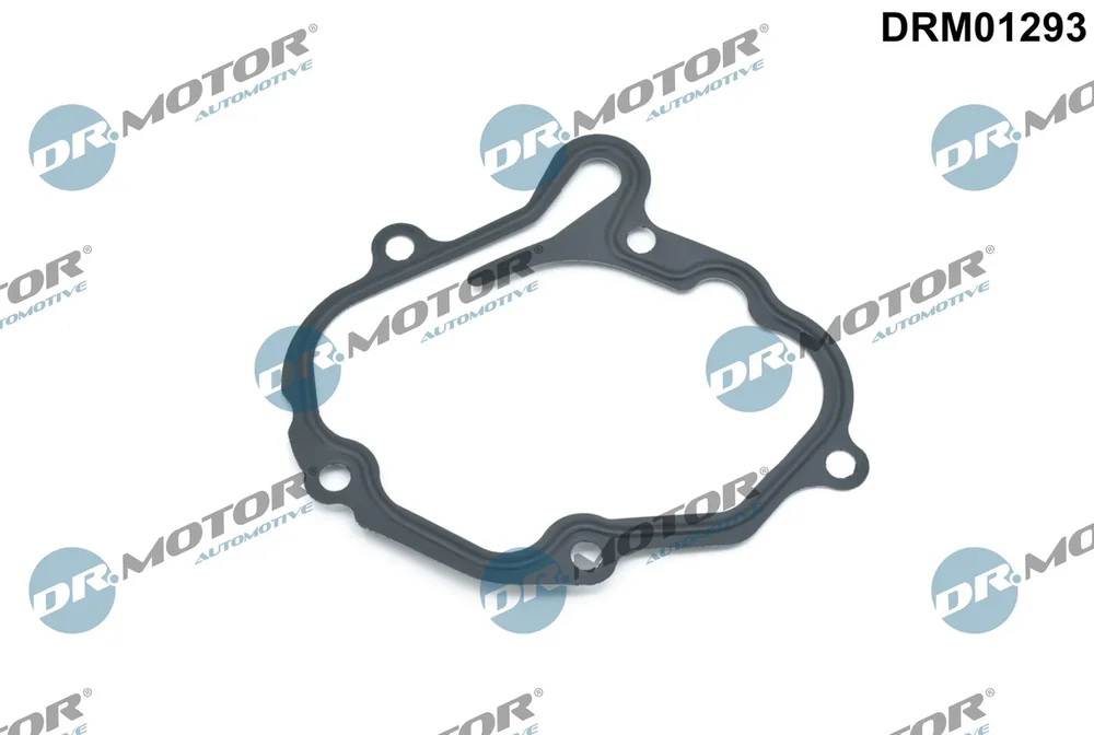 Těsnění, vakuové čerpadlo Dr.Motor Automotive DRM01293