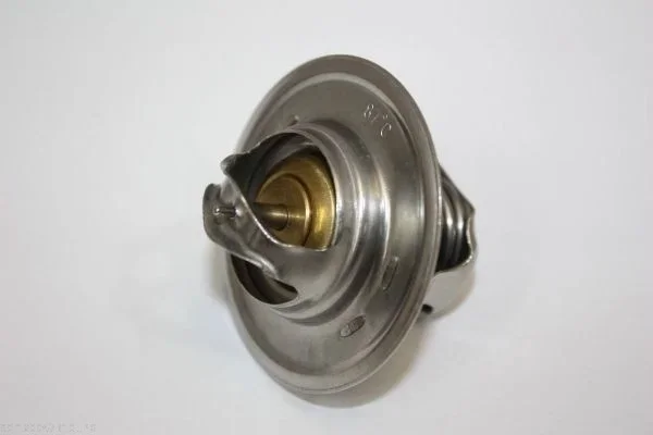 Termostat, chladivo AUTOMEGA 160047310