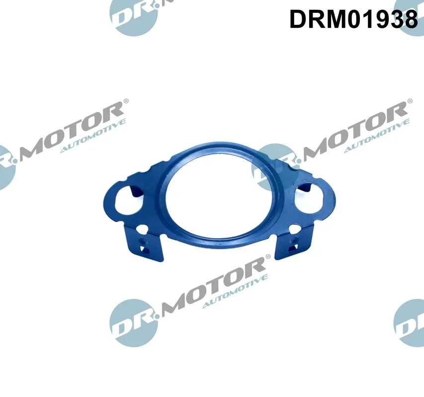 Těsnění, vedení AGR ventilu Dr.Motor Automotive DRM01938