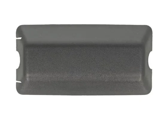 Kryt, vnejsi zrcatko PACOL RVI-MR-016 – OE 5001833509 Kryt, vnejsi zrcatko PACOL RVI-MR-016 – OE 5001833509