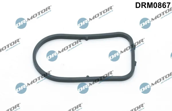 Těsnění, vakuové čerpadlo Dr.Motor Automotive DRM0867