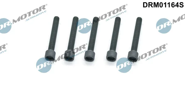 Šroub, držák vstřikovací trysky Dr.Motor Automotive DRM01164S
