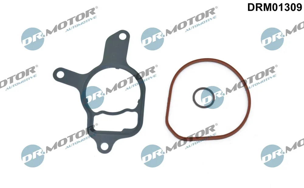 Sada těsnění, podtlaková pumpa Dr.Motor Automotive DRM01309