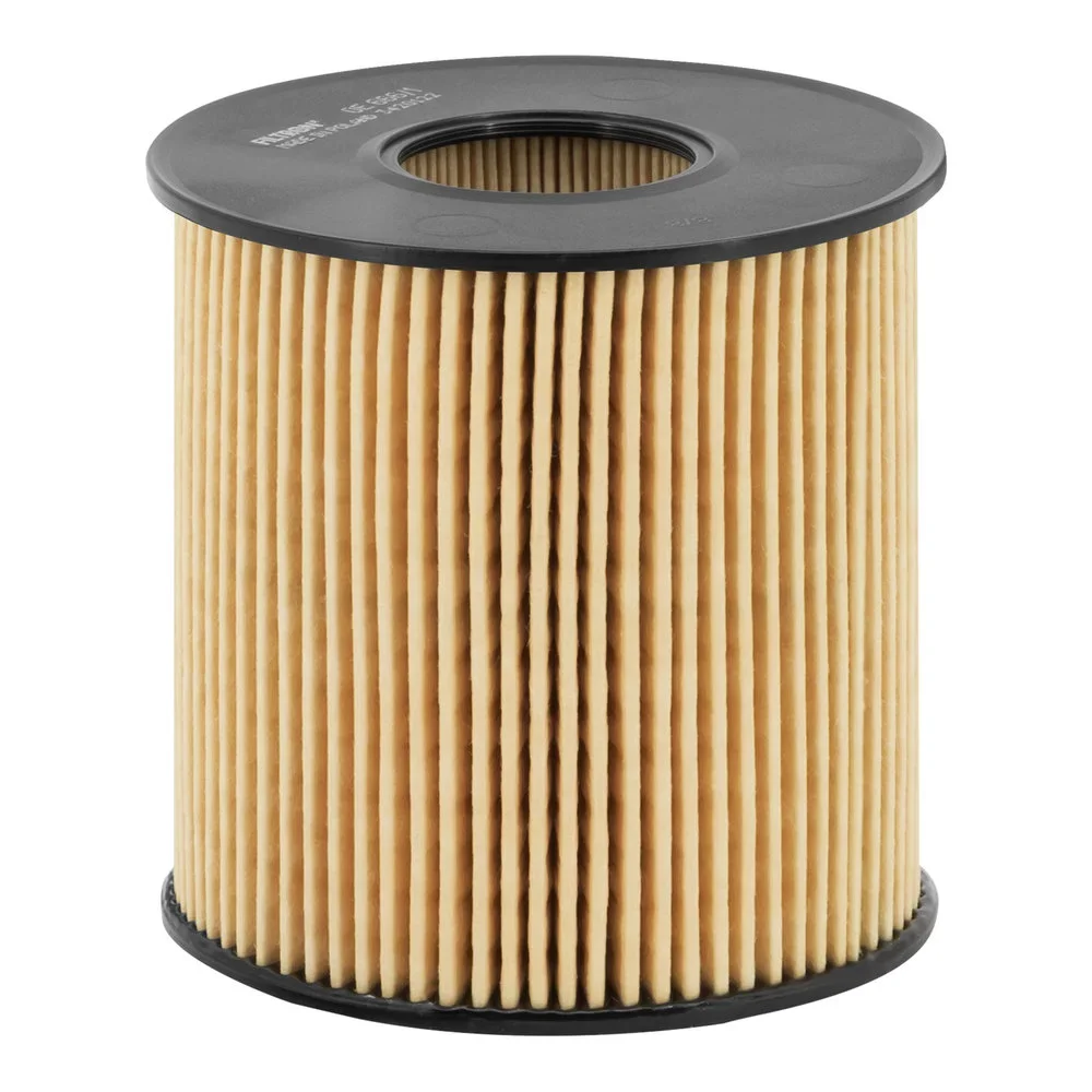Olejový filtr FILTRON OE666/1