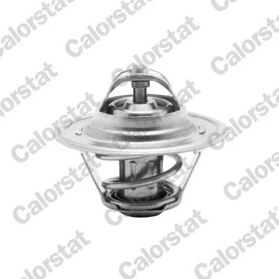 Termostat, chladivo CALORSTAT by Vernet TH6276.87J